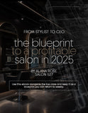 FROM STYLIST TO CEO: THE BLUEPRINT TO A PROFITABLE SALON IN 2025 EBOOK