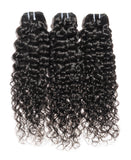 BURMESE CURLY
